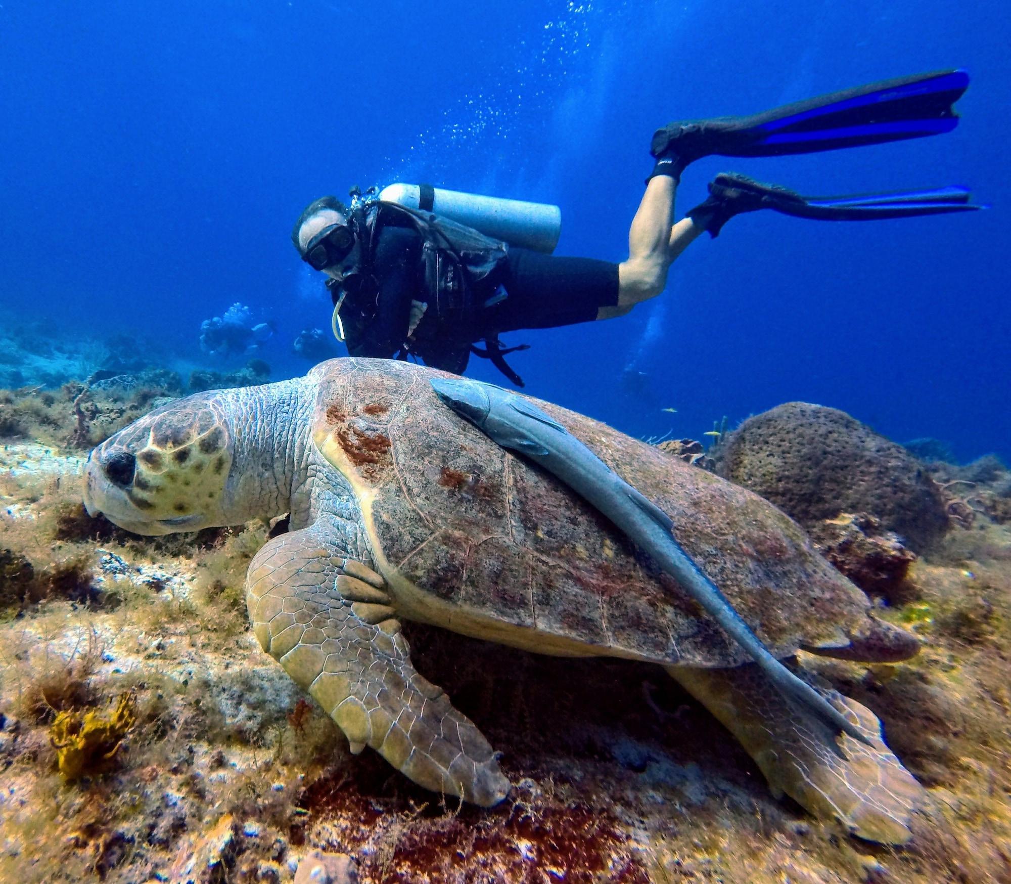 Casa Del Mar Cozumel Hotel & Dive Resort Luaran gambar